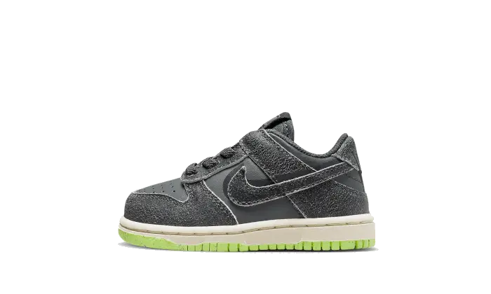 Dunk Low Swoosh Shadow Iron Grey Baby (TD) Nike Sneakers