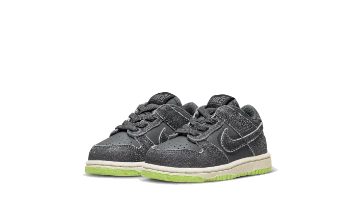 Dunk Low Swoosh Shadow Iron Grey Baby (TD) Nike Sneakers