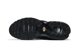 Nike Air Max Plus Triple Black - 604133-050