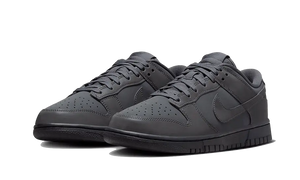Nike Dunk Low Cyber Reflective