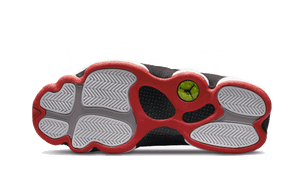 Air Jordan 13 Retro Playoffs