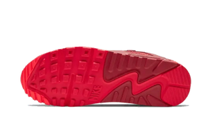 Nike Air Max 90 Chi-City Especial - DH0146-600