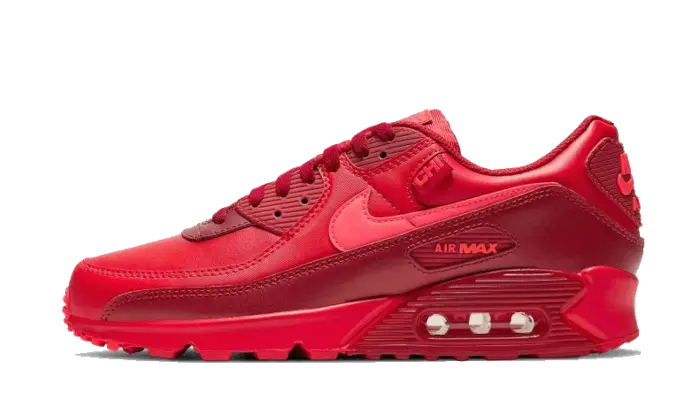 Nike Air Max 90 Chi-City Especial - DH0146-600