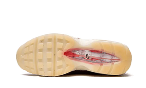 Nike Air Max 95 Anatomy of Air