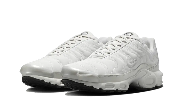 Nike Air Max Plus Reflective Platinum