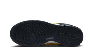 Nike Dunk Low Disrupt 2 Michigan