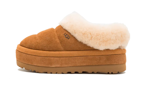 Tazzlita Chestnut (Bambino)