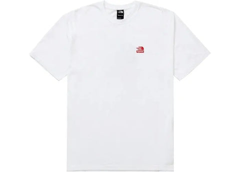 Supreme x The North Face Statue de la Liberté