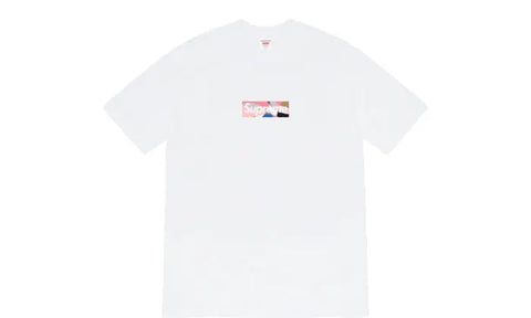 Emilio Pucci box logo t-shirt