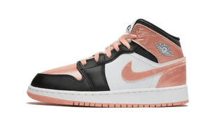 Air Jordan 1 Mid Light Madder Root
