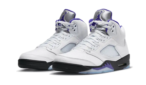 Air Jordan 5 Retro Dark Concord