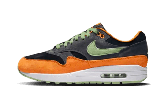 Air Max 1 PRM Duck Anthracite