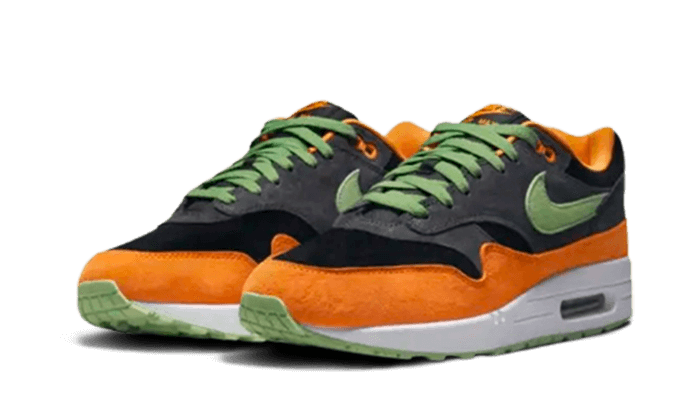 Air Max 1 PRM Duck Anthracite