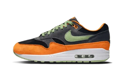 Air Max 1 PRM Duck Anthracite