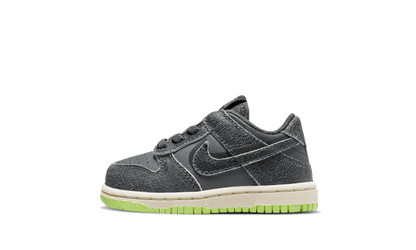 Dunk Low Swoosh Shadow Iron Gray Baby (TD)