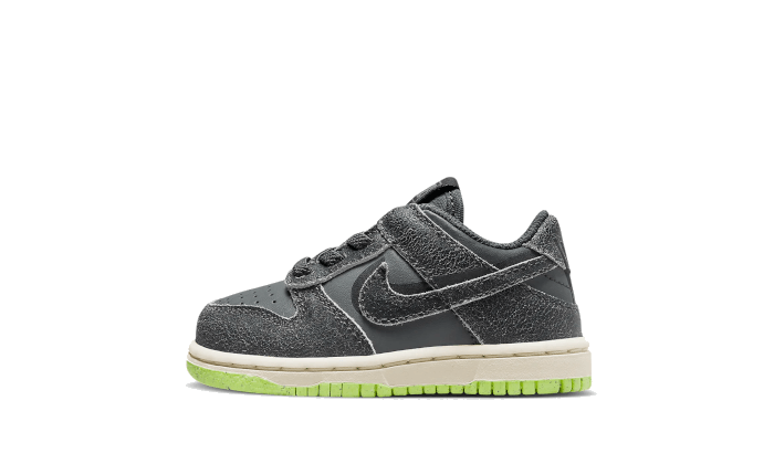 Dunk Low Swoosh Shadow Iron Grey Bébé (TD)