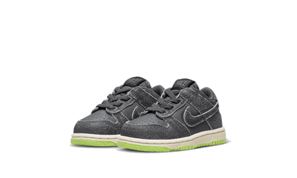 Dunk Low Swoosh Shadow Iron Gray Baby (TD)