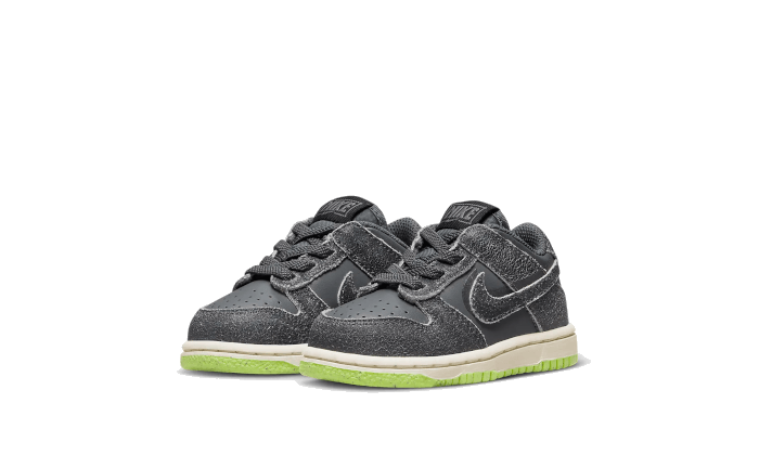 Dunk Low Swoosh Shadow Iron Gray Baby (TD)