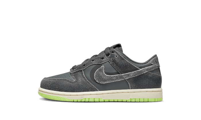 Dunk Low Swoosh Shadow Iron Grey Bambino (PS)