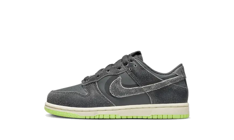 Dunk Low Swoosh Shadow Iron Grey Bambino (PS)