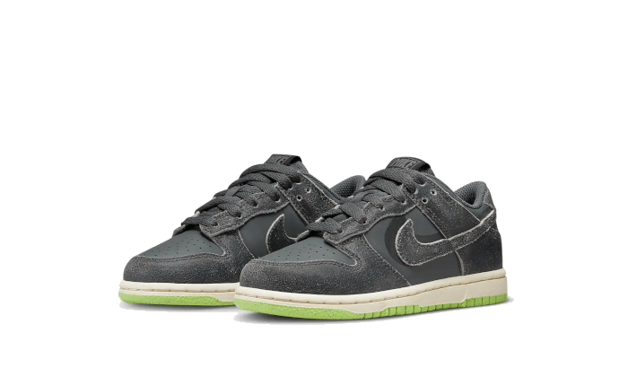 Dunk Low Swoosh Shadow Iron Grey Bambino (PS)