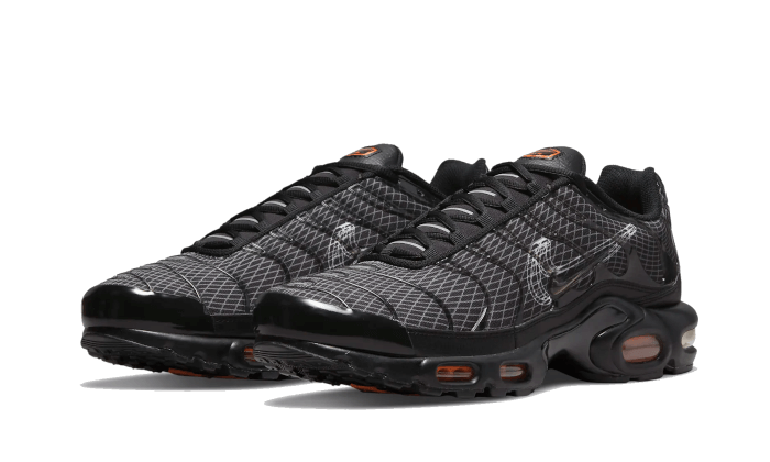 Air Max Plus 3D Swoosh Noir