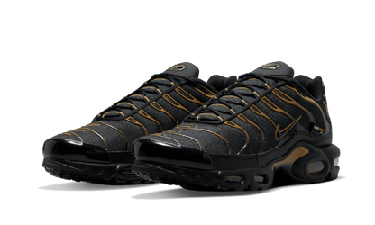 Nike Air Max Plus Cordura Black - DO6700-001