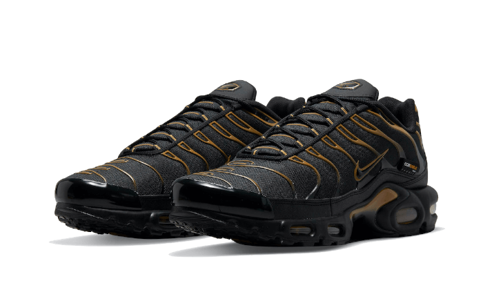 Nike Air Max Plus Cordura Black - DO6700-001