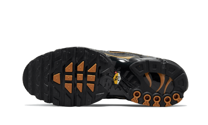 Nike Air Max Plus Cordura Black - DO6700-001