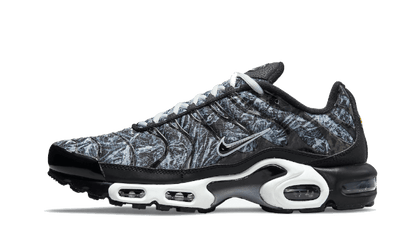 Nike Air Max Plus Dark Smoke Grey - DO6384-001