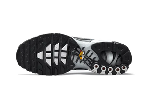 Nike Air Max Plus Dark Smoke Grey - DO6384-001