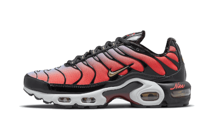 Nike Air Max Plus Sisterhood - DO6115-500