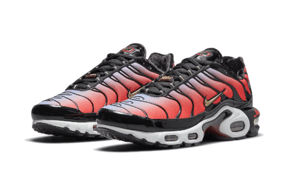 Nike Air Max Plus Sisterhood - DO6115-500