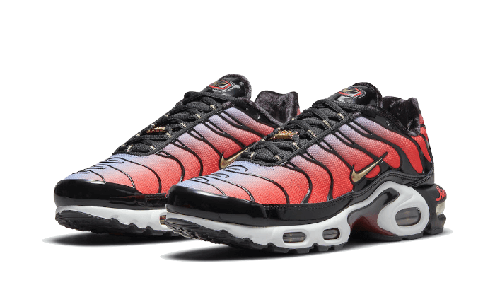 Nike Air Max Plus Sisterhood - DO6115-500