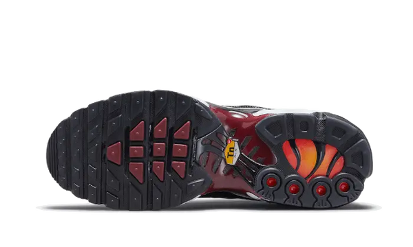 Nike Air Max Plus Sisterhood - DO6115-500