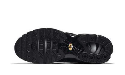 Nike Air Max Plus Triple Black - 604133-050