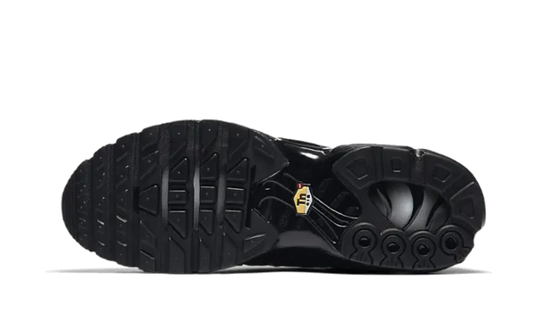 Nike Air Max Plus Triple Black - 604133-050