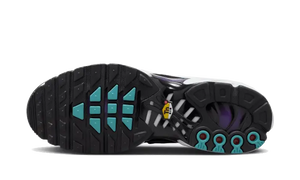 Nike Air Max Plus Reverse Grape