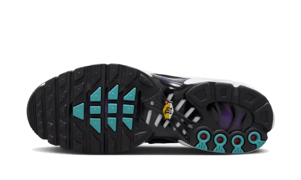 Nike Air Max Plus Reverse Grape