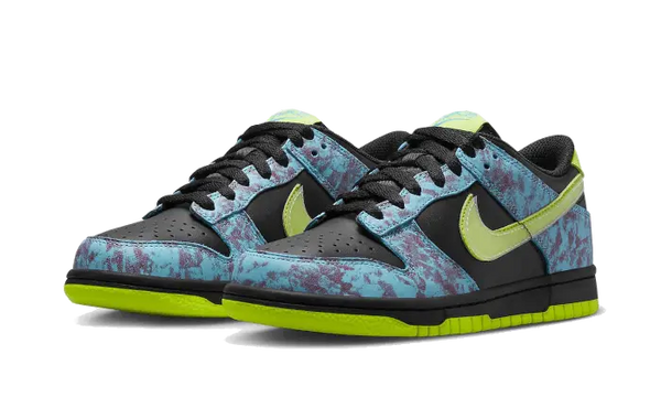 Nike Dunk Low Acid Wash