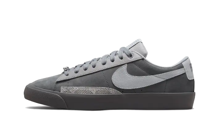 Nike SB Blazer Low FPAR Gris Frío - DN3754-001
