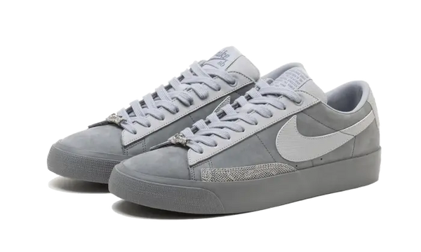 Nike SB Blazer Low FPAR Gris Frío - DN3754-001