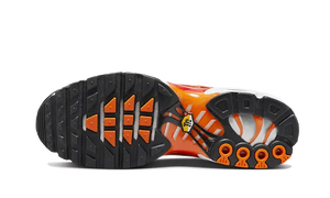 Nike Air Max Plus Light Photography
