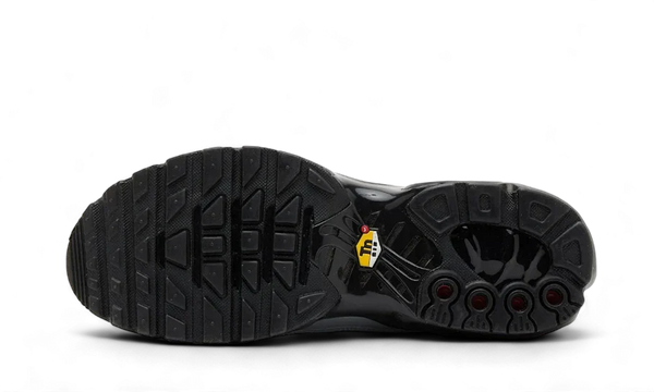 nike-air-max-plus-tiempo-wolf-grey