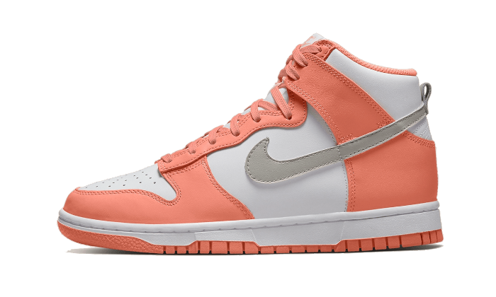 Dunk High Salmon Grey