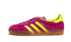 Gazelle Indoor Shock Purple