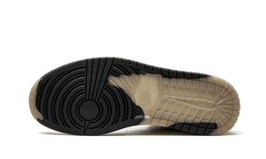 Air Jordan 1 High Element Gore Tex Light Bone - DB2889-100