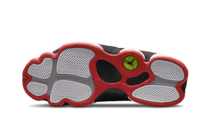 Air Jordan 13 Retro Playoffs