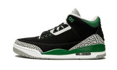 Air Jordan 3 Pine Green