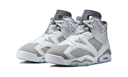 Air Jordan 6 Cool Grey